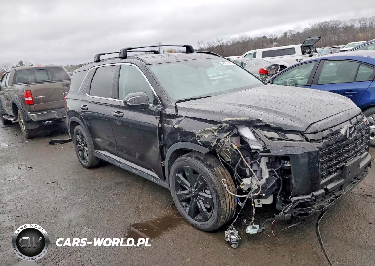 2024 Hyundai Palisade Xrt VIN:KM8R3DGE9RU741613 - 4