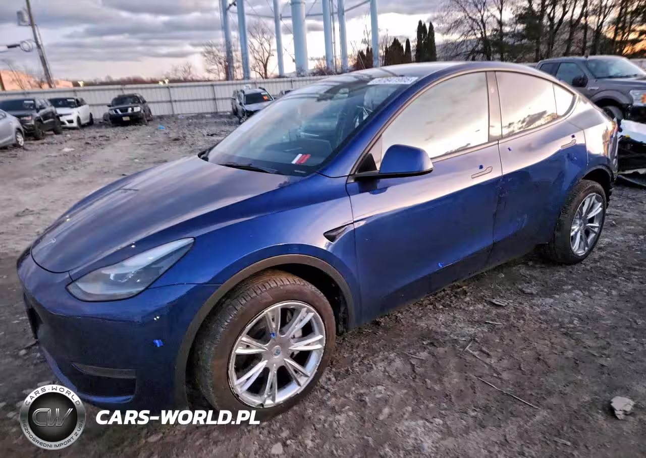 2025 Tesla Model Y