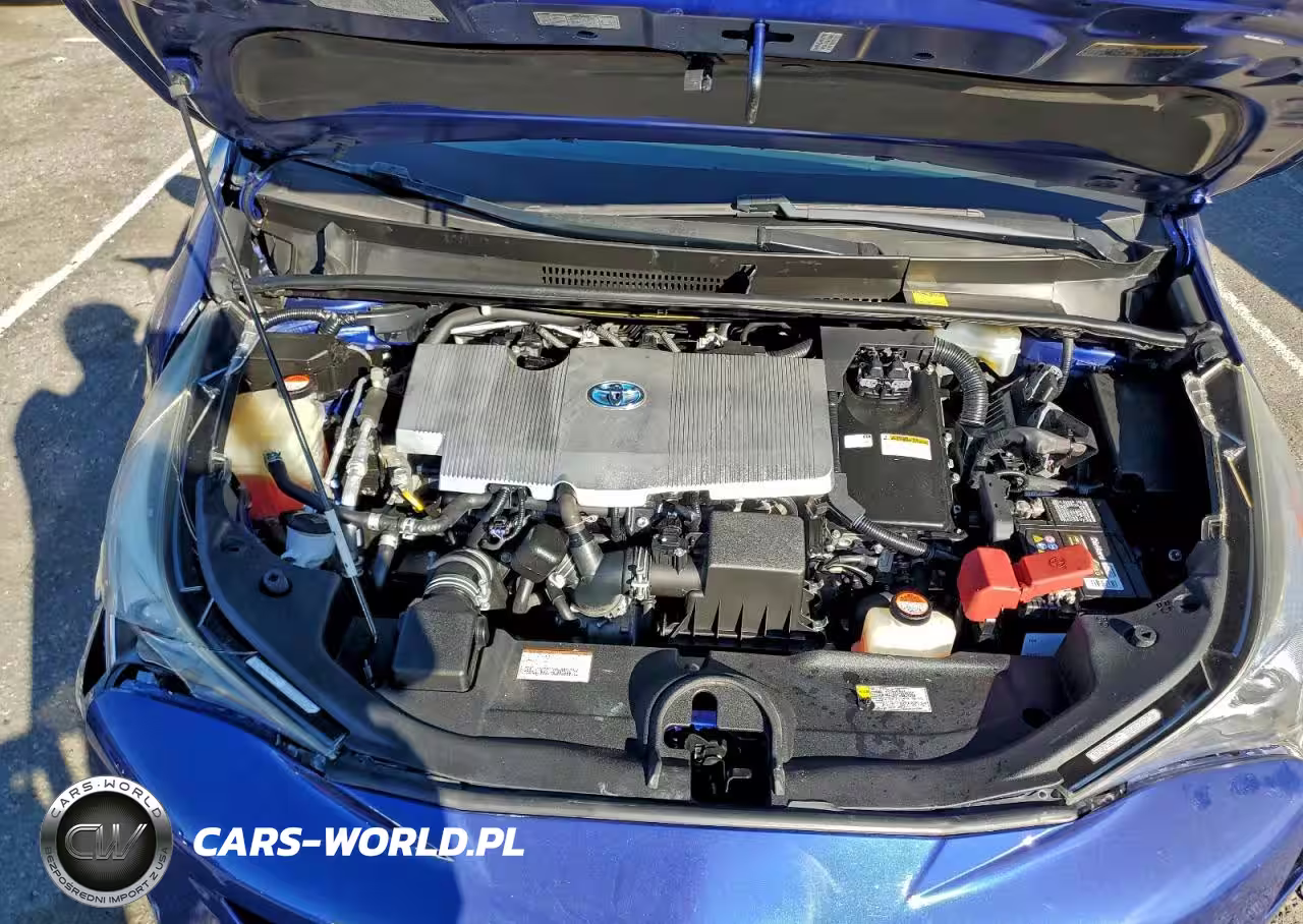 2016 Toyota Prius VIN:JTDKBRFU7G3505012 - 11