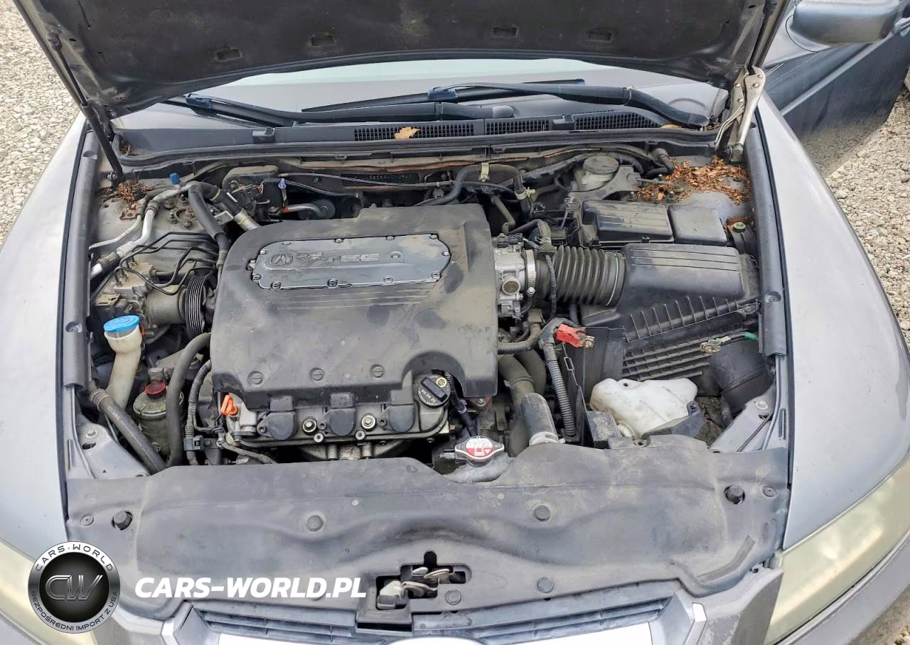 2005 Acura Tl VIN:19UUA66286A014940 - 11