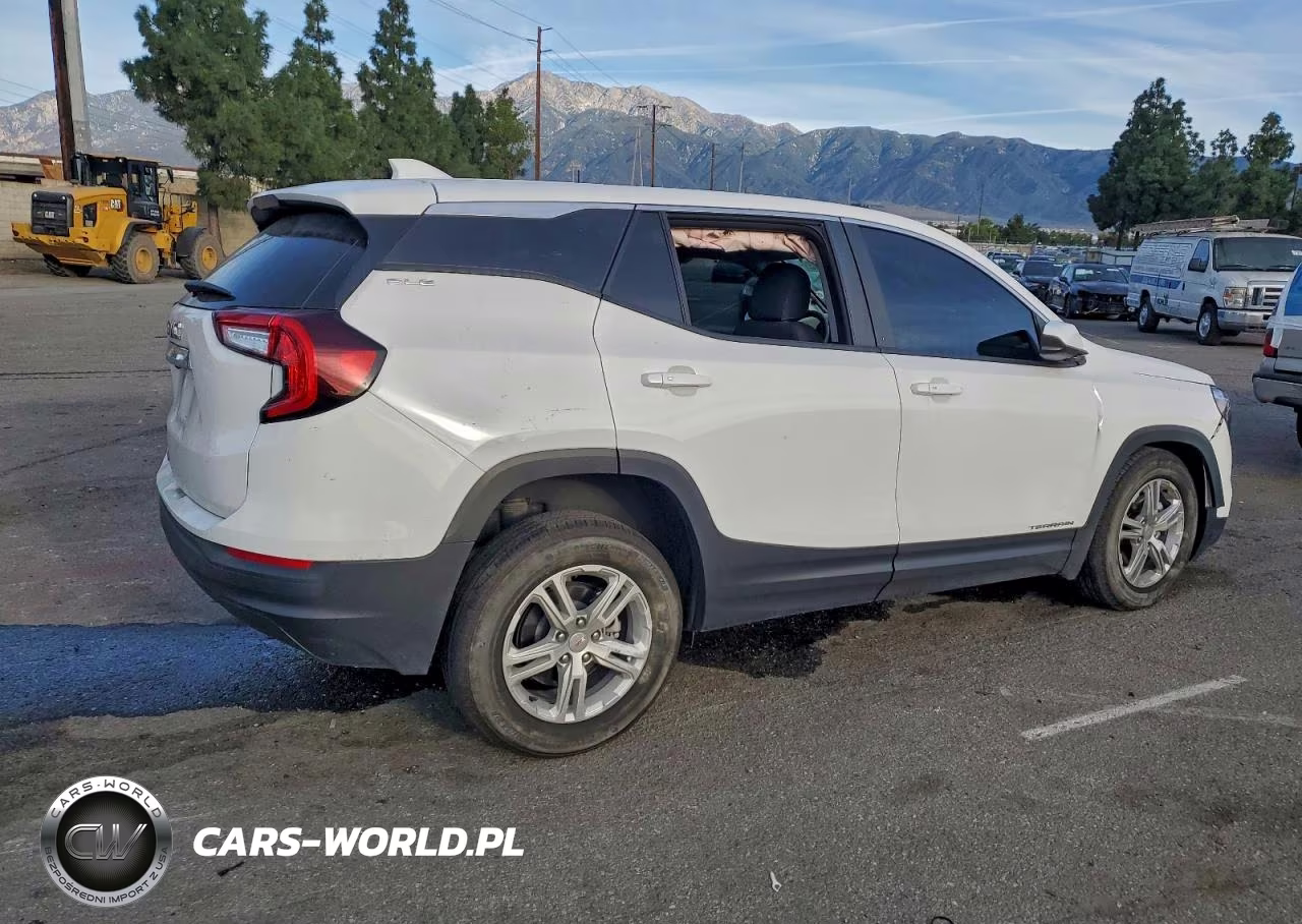 GMC TERRAIN SL VIN:3GKALMEG0RL379014 - 3