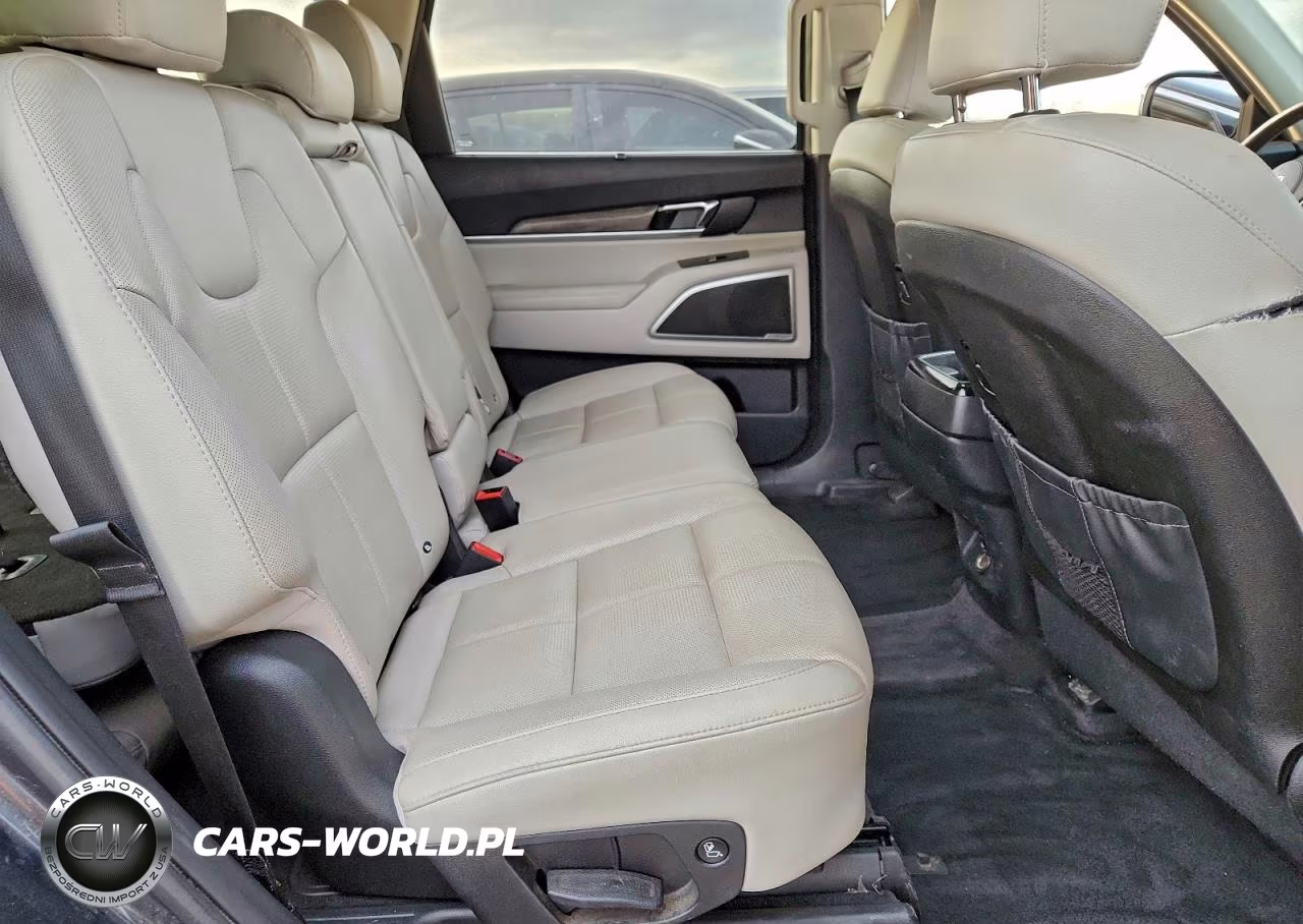2020 Kia Telluride Ex VIN:5XYP3DHC5LG034879 - 11