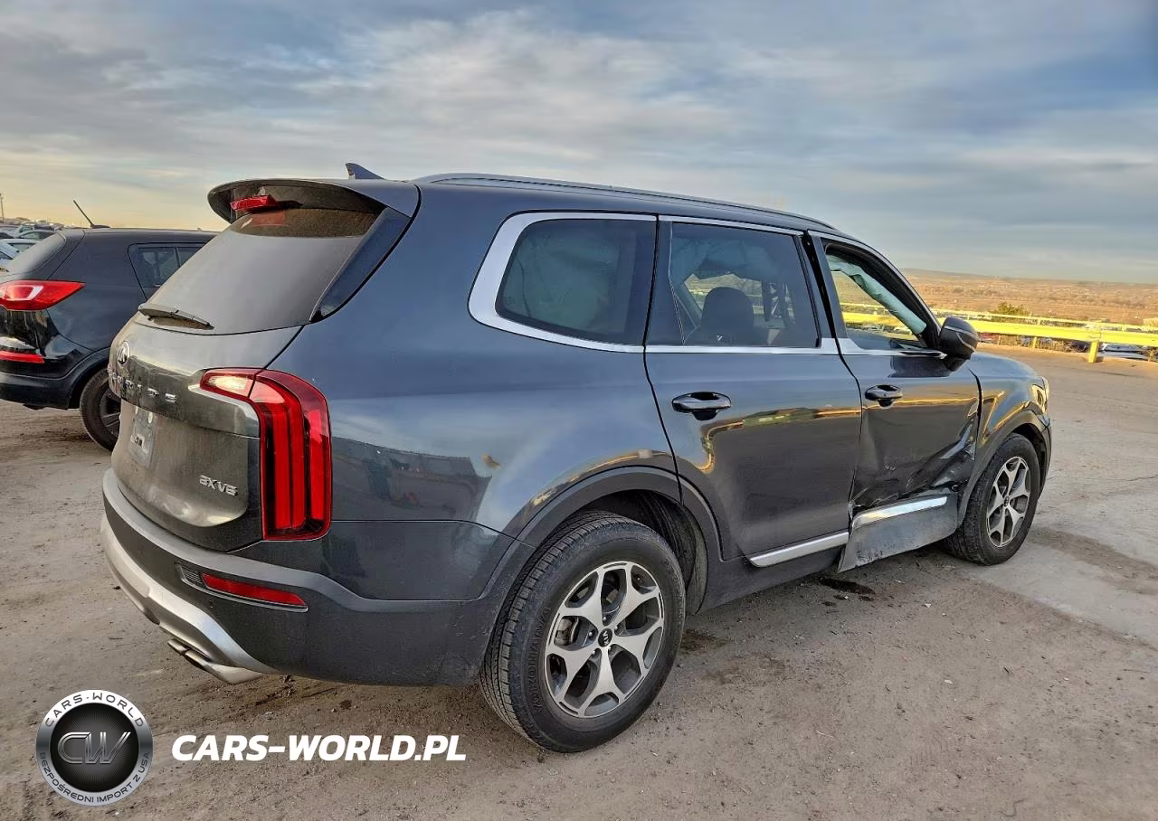 2020 Kia Telluride Ex VIN:5XYP3DHC5LG034879 - 3