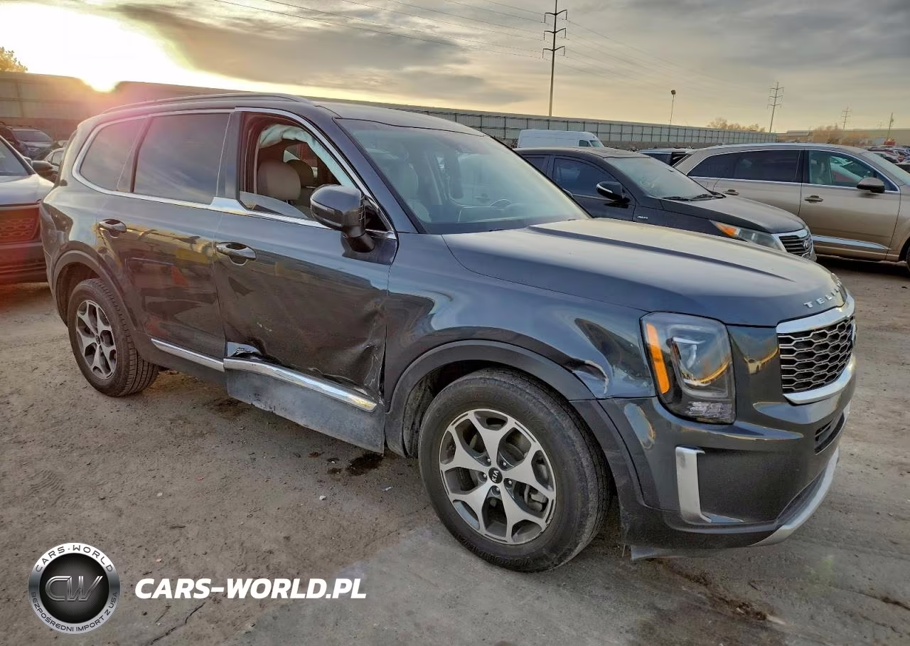 2020 Kia Telluride Ex VIN:5XYP3DHC5LG034879 - 4