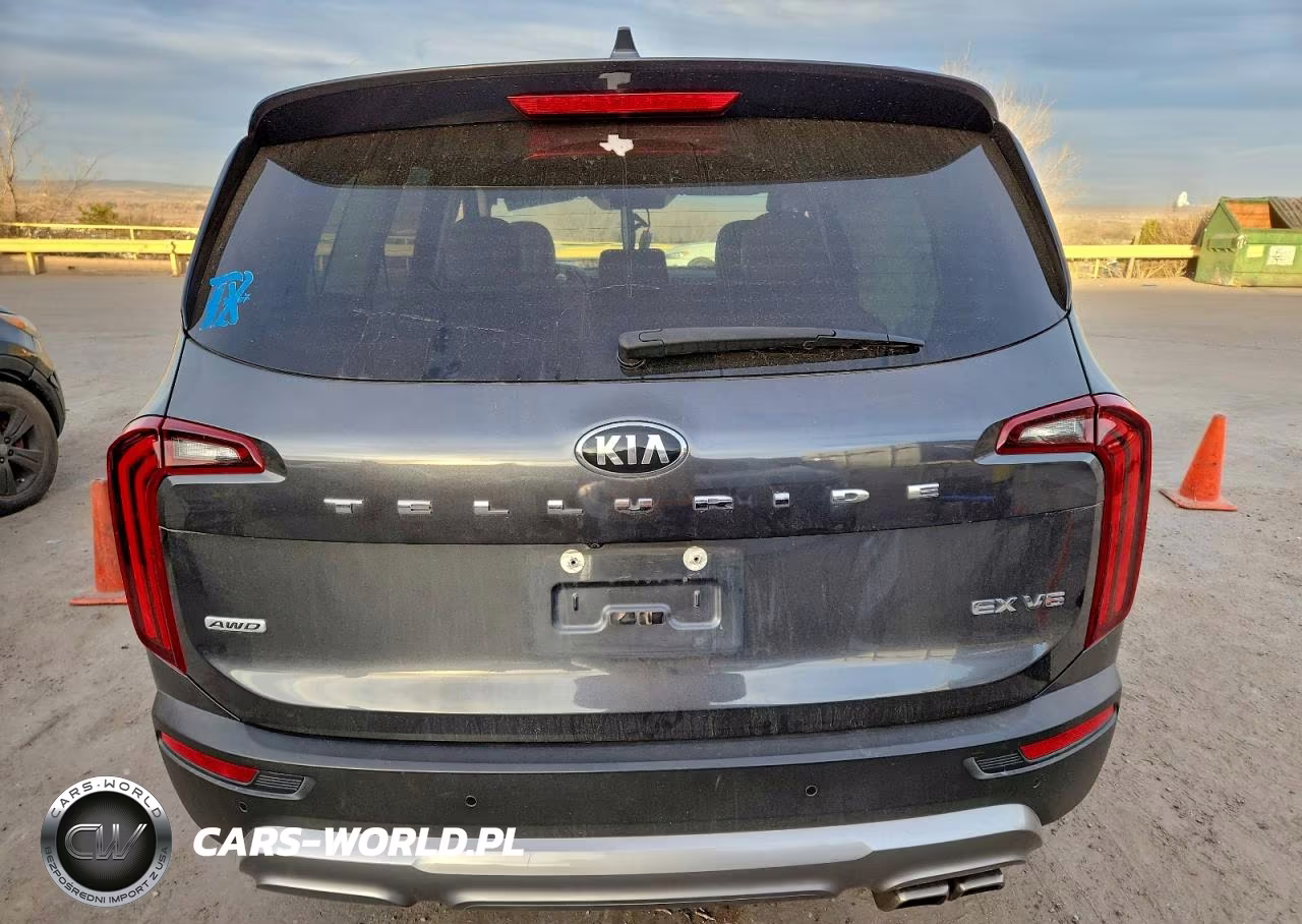 2020 Kia Telluride Ex VIN:5XYP3DHC5LG034879 - 6