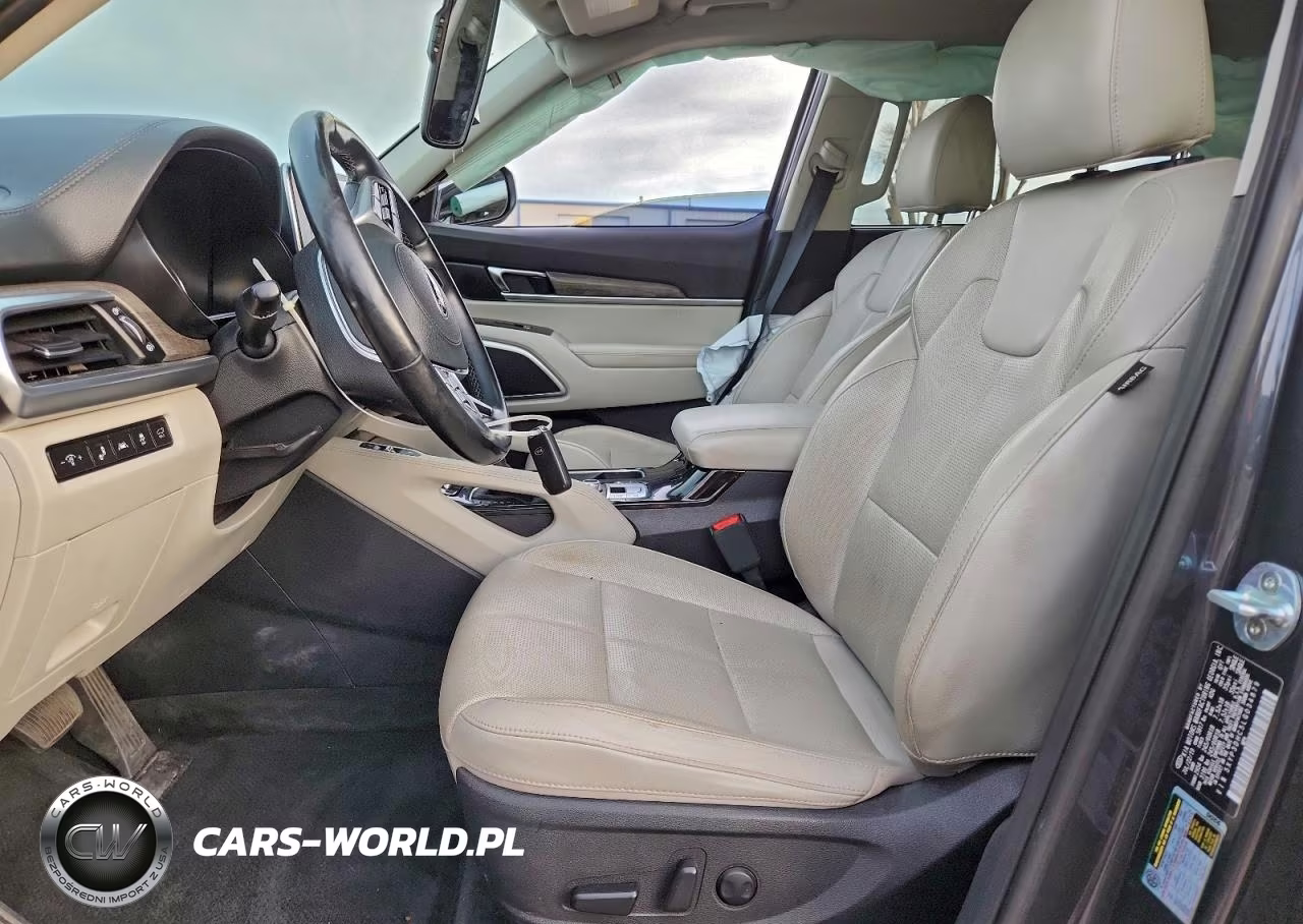 2020 Kia Telluride Ex VIN:5XYP3DHC5LG034879 - 7
