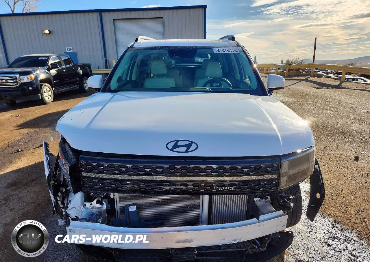2024 Hyundai Santa Fe Calligraphy VIN:5NMP5DGL2RH064769 - 5