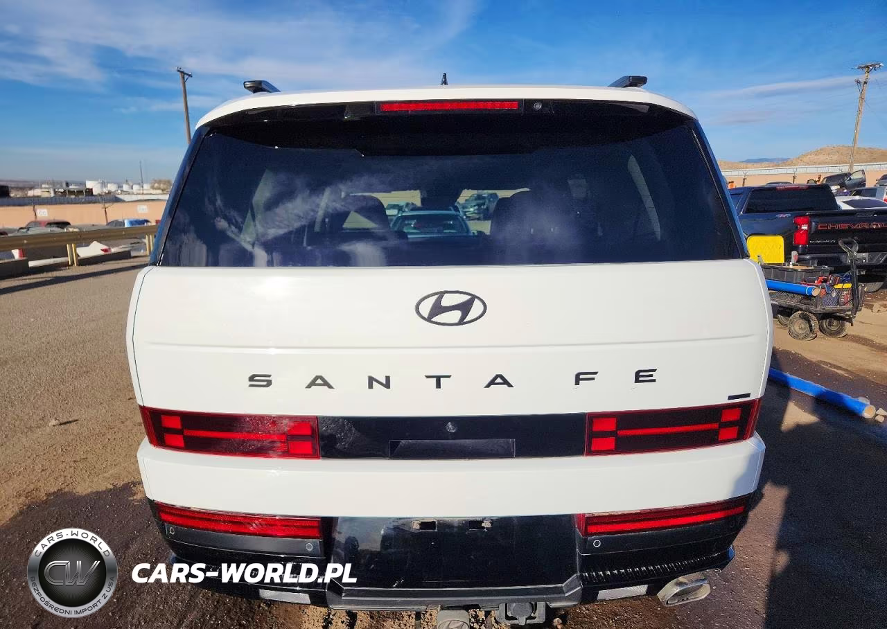 2024 Hyundai Santa Fe Calligraphy VIN:5NMP5DGL2RH064769 - 6