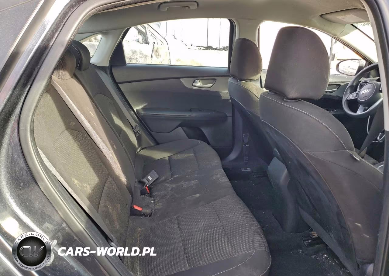 2020 Kia Forte Fe VIN:3KPF24AD7LE214606 - 10
