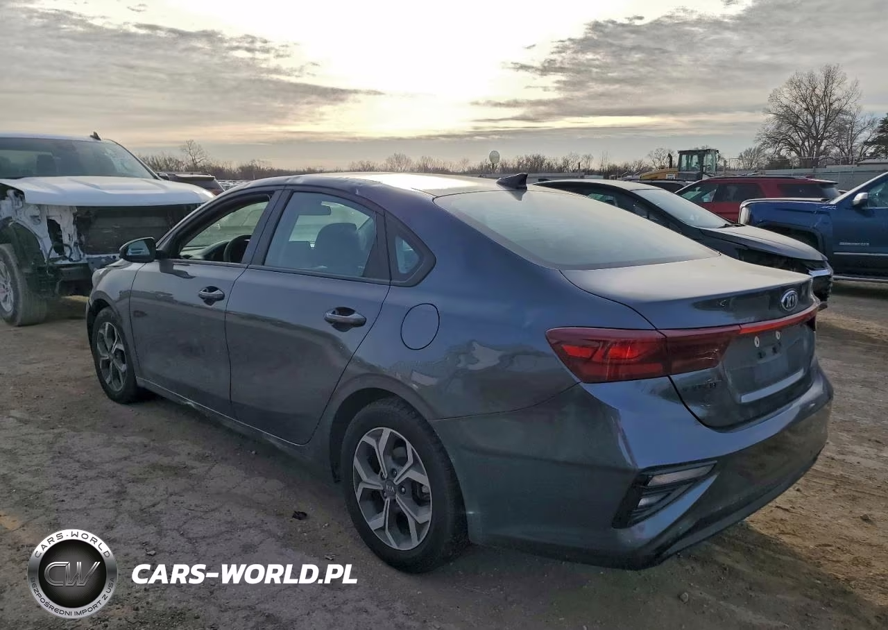 2020 Kia Forte Fe VIN:3KPF24AD7LE214606 - 2