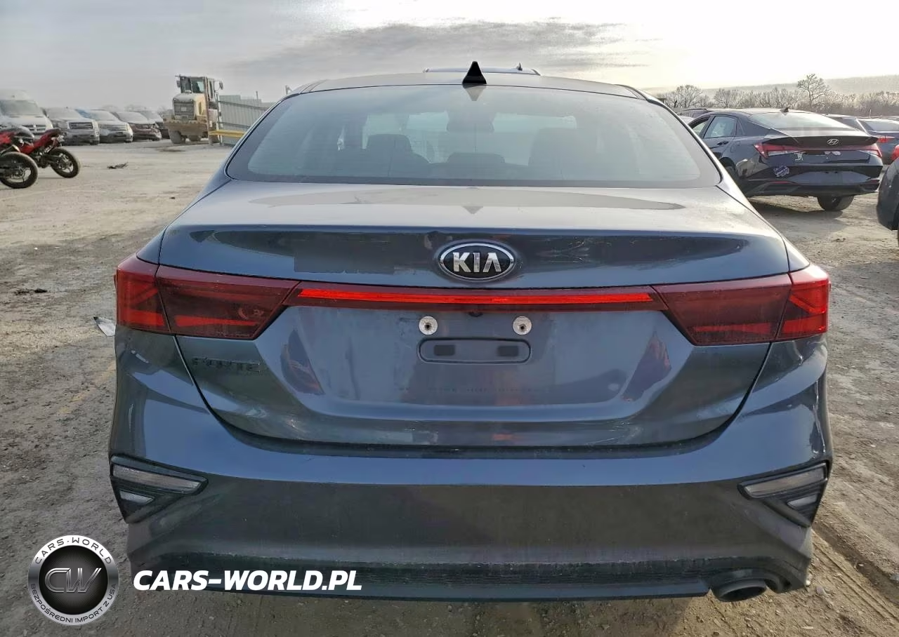 2020 Kia Forte Fe VIN:3KPF24AD7LE214606 - 6