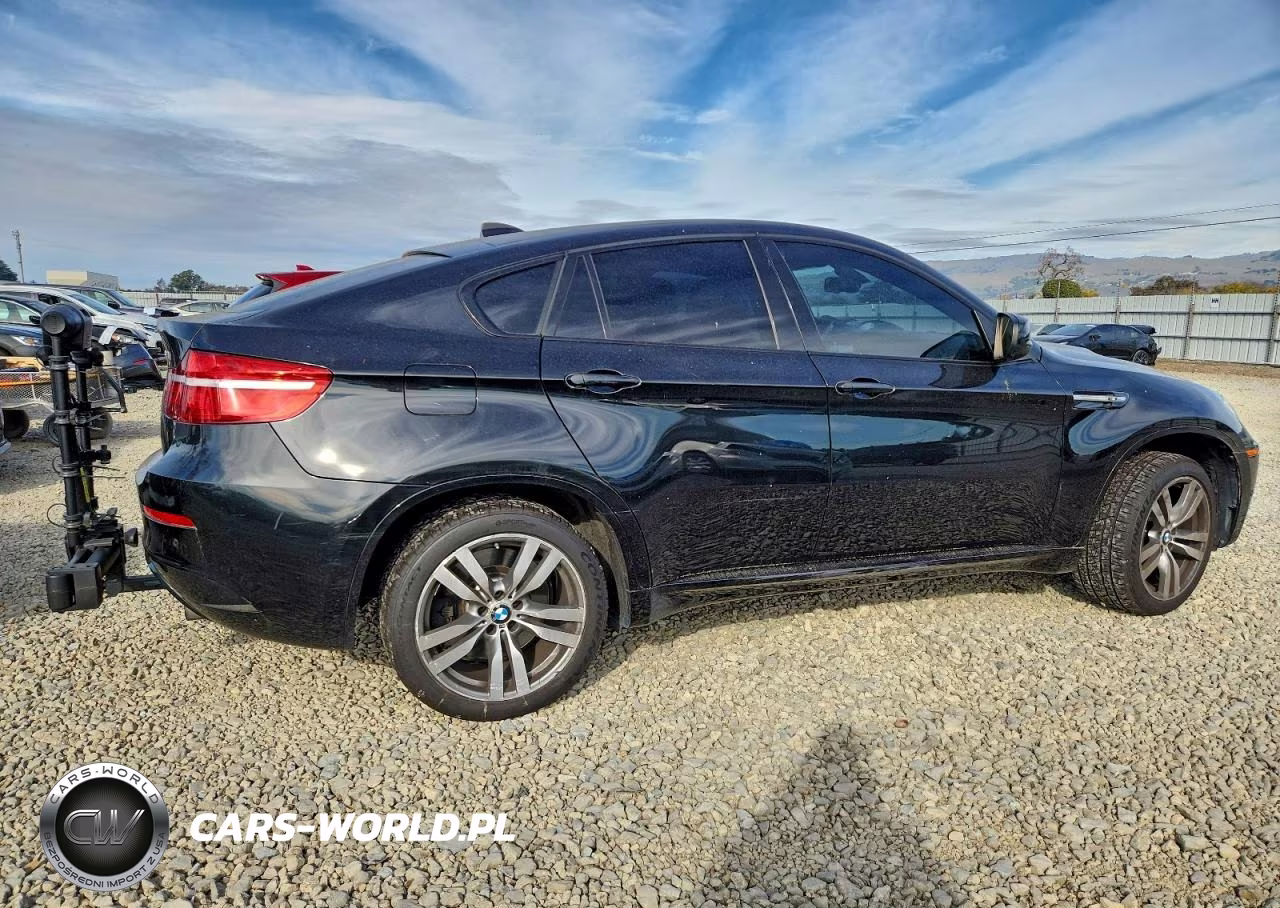 2014 BMW X6 M VIN:5YMGZ0C59E0J99883 - 3