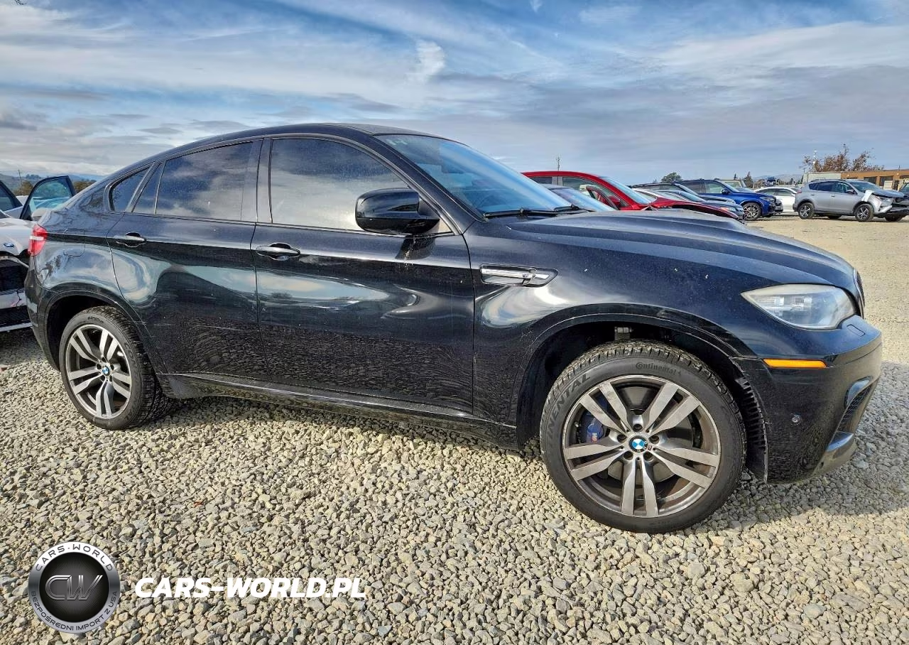 2014 BMW X6 M VIN:5YMGZ0C59E0J99883 - 4