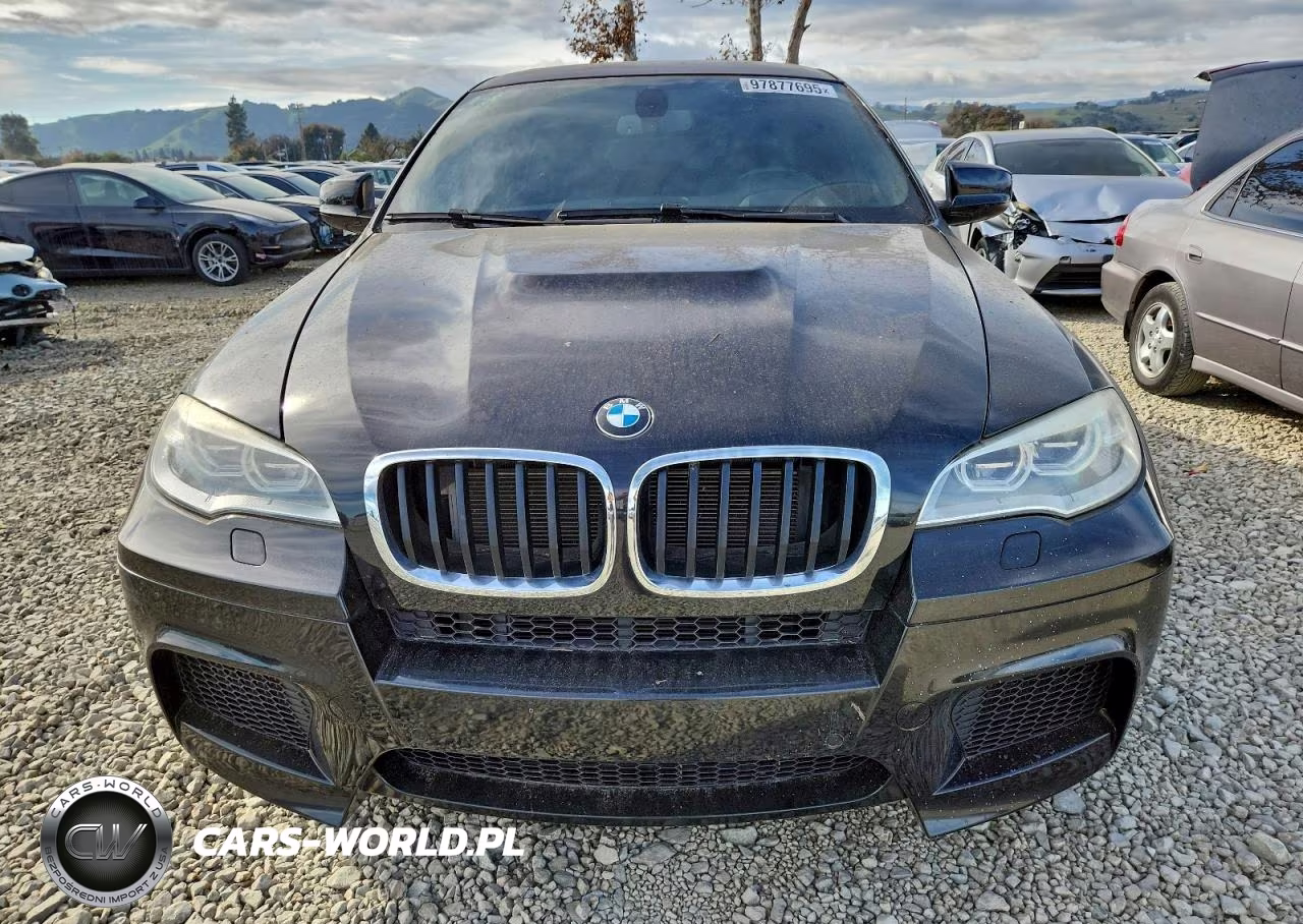 2014 BMW X6 M VIN:5YMGZ0C59E0J99883 - 5