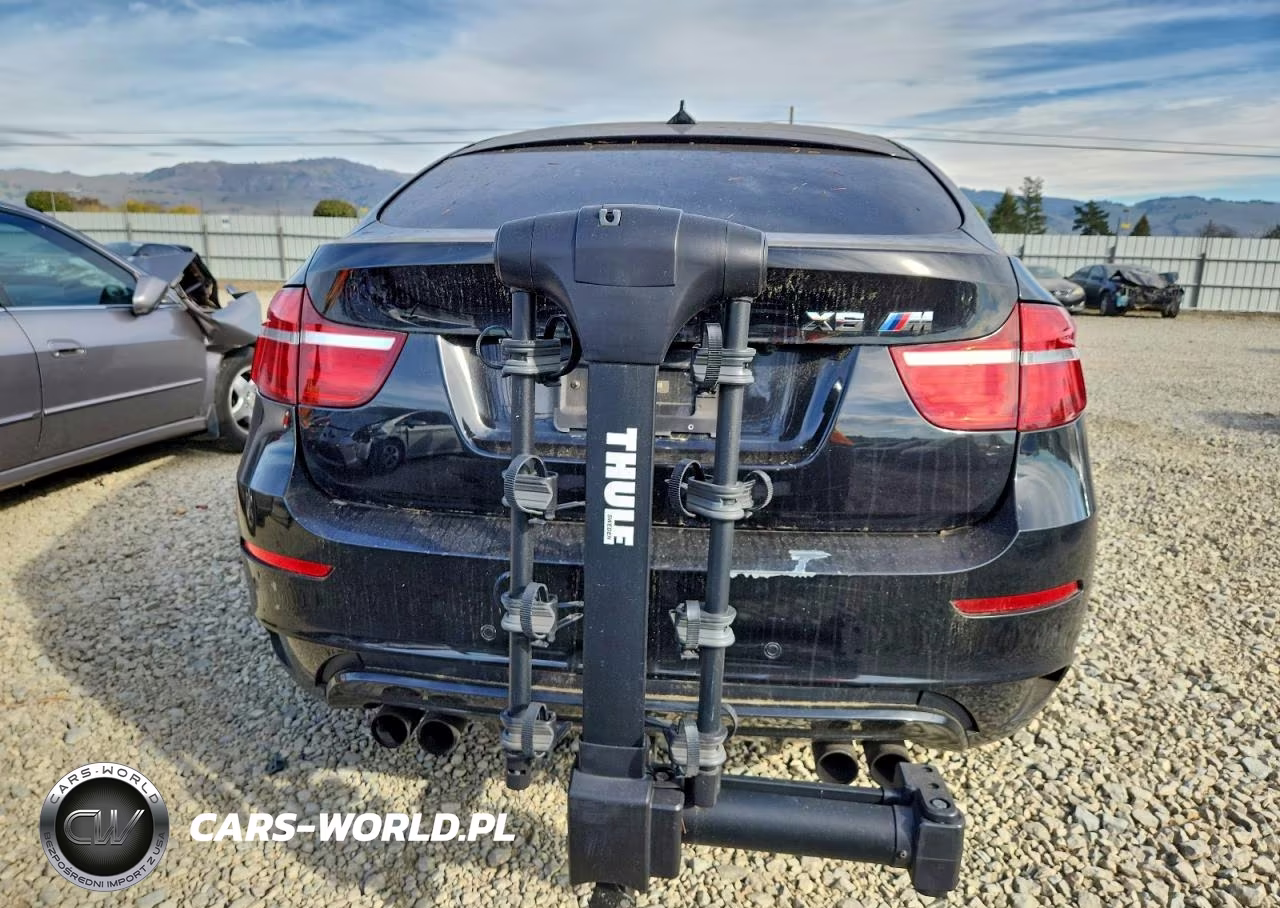 2014 BMW X6 M VIN:5YMGZ0C59E0J99883 - 6