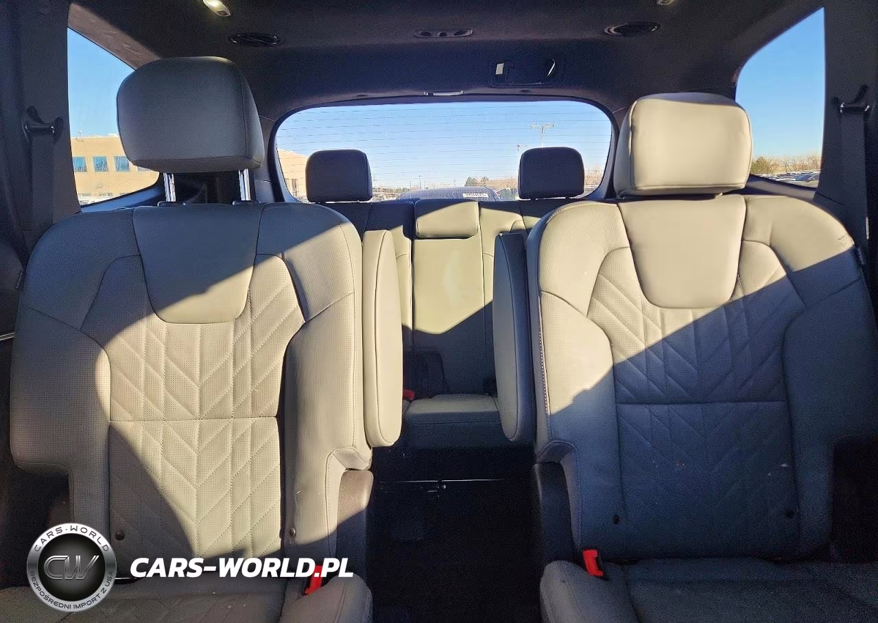 2023 Kia Telluride Sx VIN:5XYP5DGC1PG349938 - 10