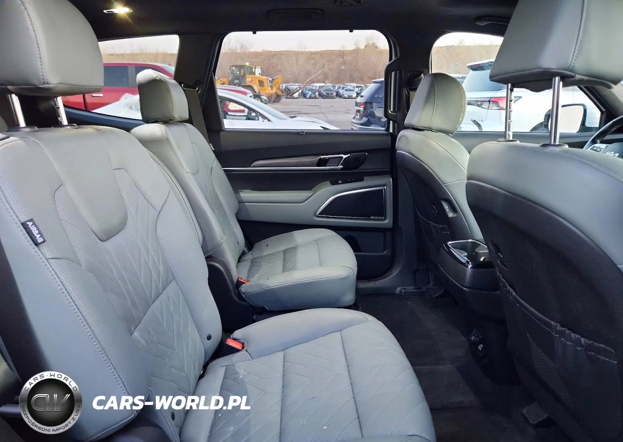 2023 Kia Telluride Sx VIN:5XYP5DGC1PG349938 - 11
