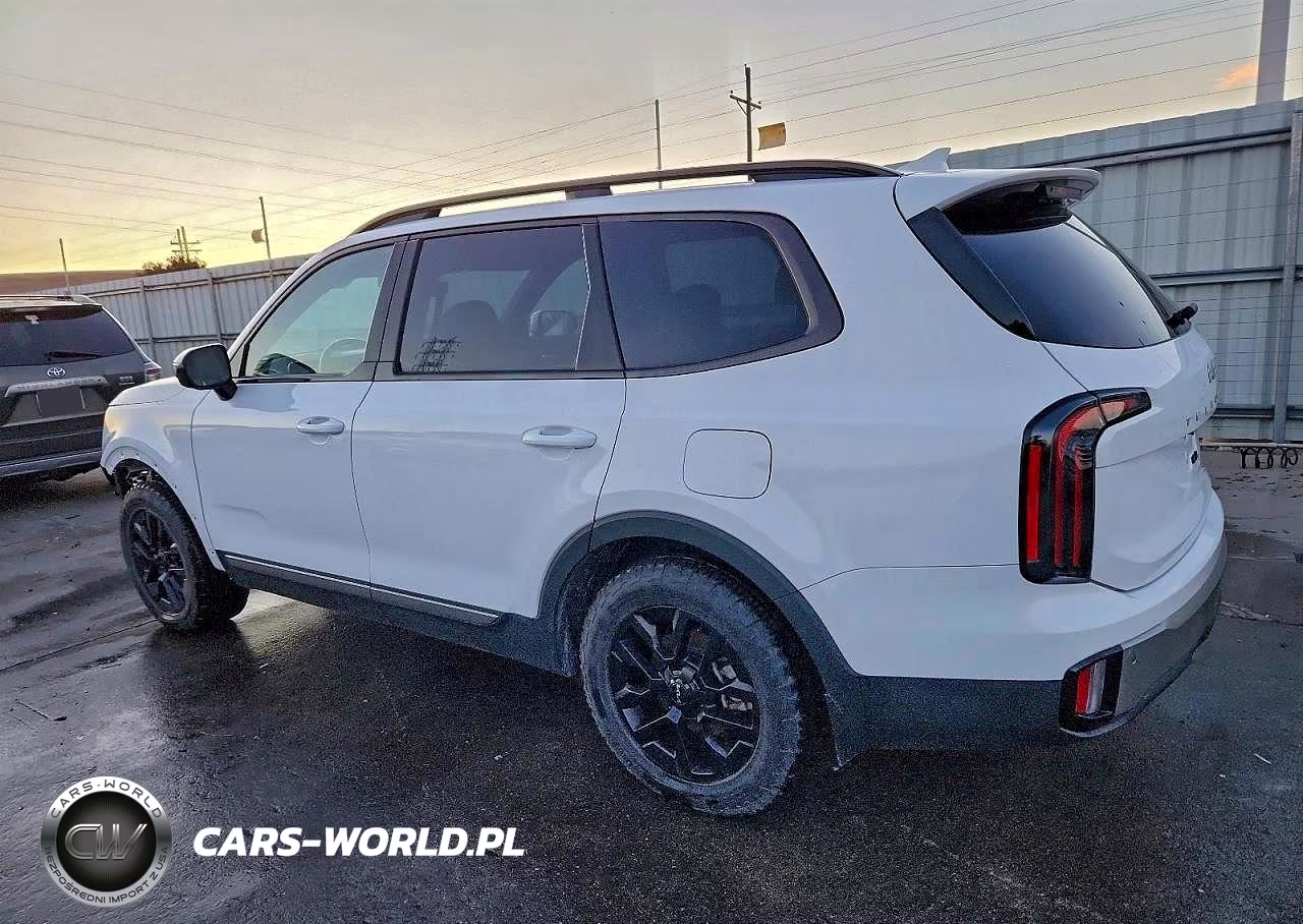 2023 Kia Telluride Sx VIN:5XYP5DGC1PG349938 - 2