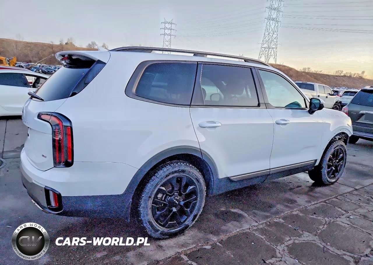 2023 Kia Telluride Sx VIN:5XYP5DGC1PG349938 - 3