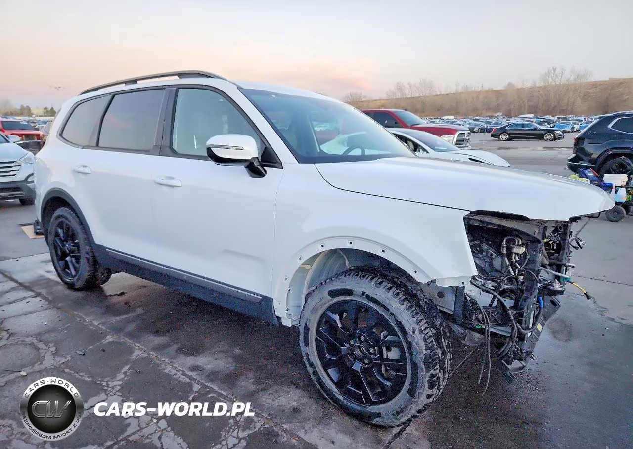 2023 Kia Telluride Sx VIN:5XYP5DGC1PG349938 - 4