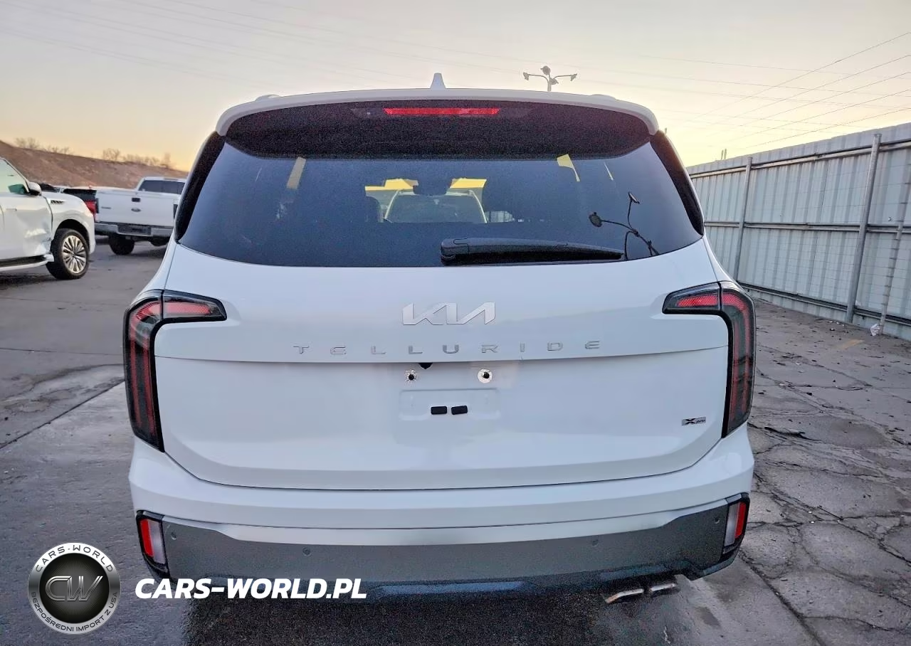 2023 Kia Telluride Sx VIN:5XYP5DGC1PG349938 - 6
