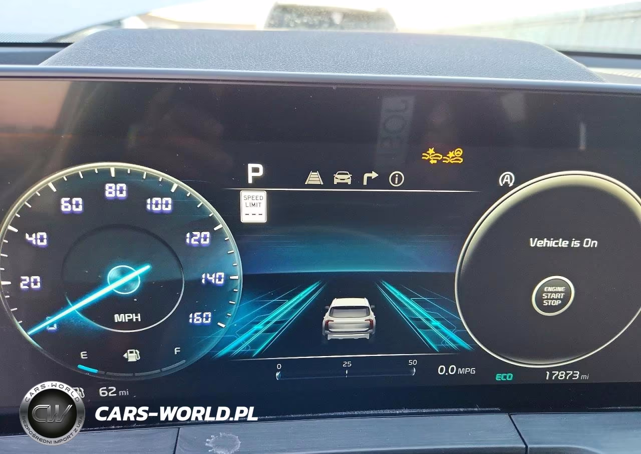 2023 Kia Telluride Sx VIN:5XYP5DGC1PG349938 - 9