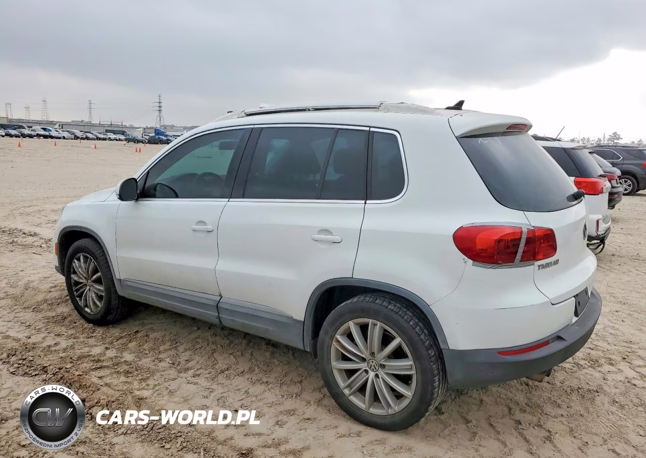 2014 Volkswagen Tiguan S VIN:WVGAV3AX2EW614485 - 2