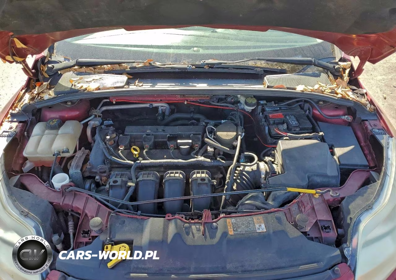 2014 Ford Focus Se VIN:1FADP3K20EL304731 - 11
