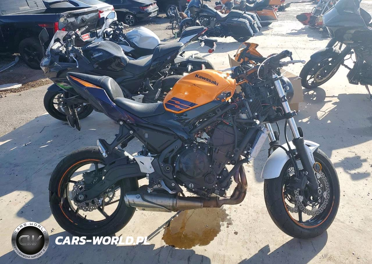 2025 Kawasaki Ex650 P – zdjęcie 1 z 10