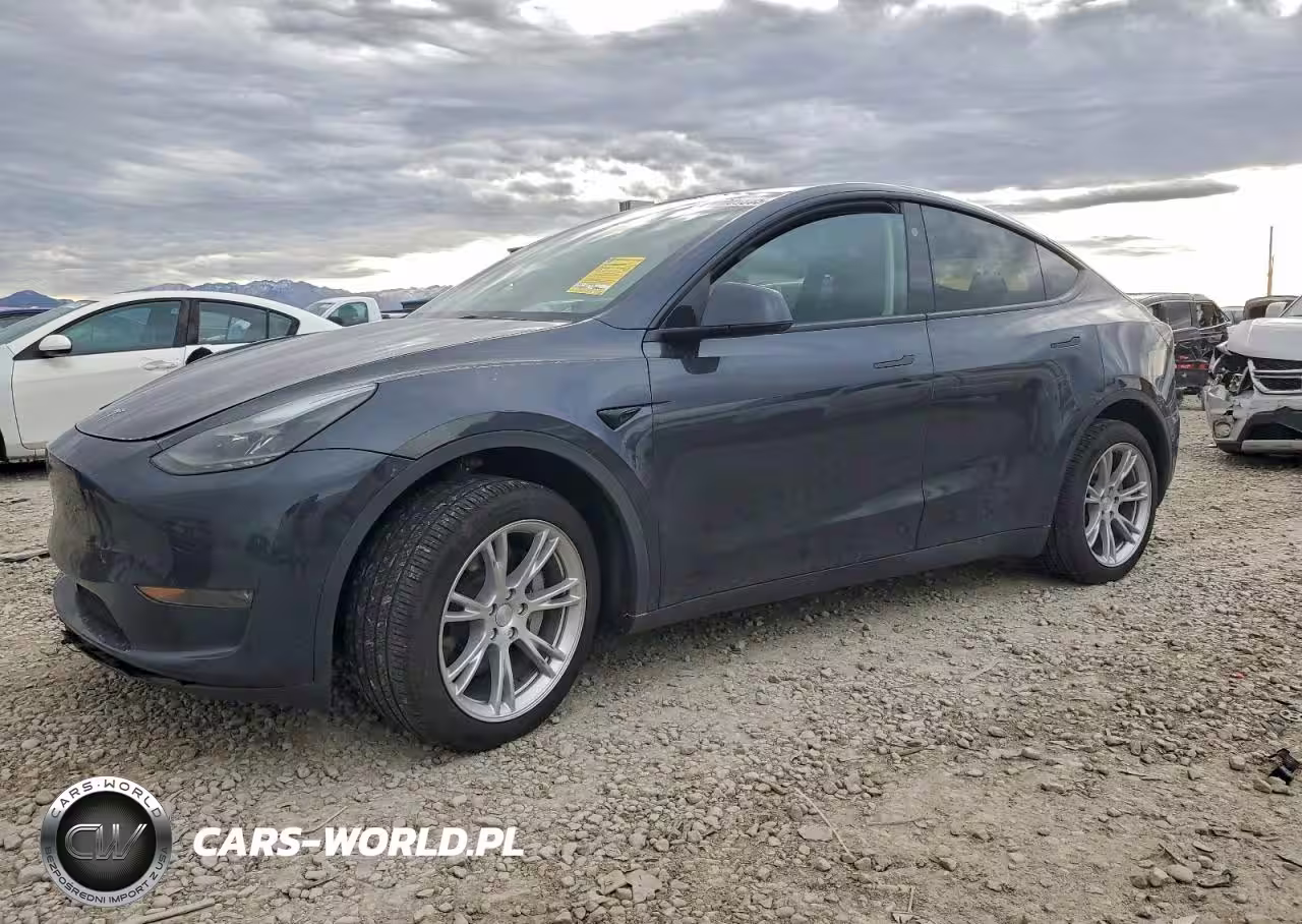 2024 Tesla Model Y