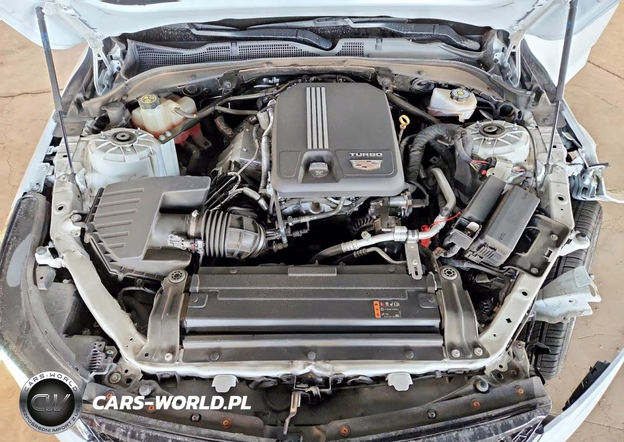 CADILLAC CT4 LUXURY VIN:1G6DA5RK1M0132841 - 11