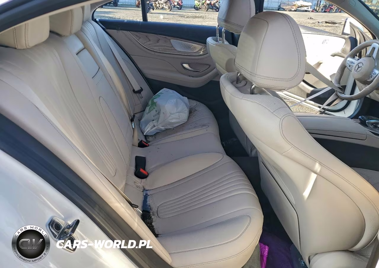 2020 Mercedes-Benz Cls 450 VIN:WDD2J5JBXLA048502 - 10