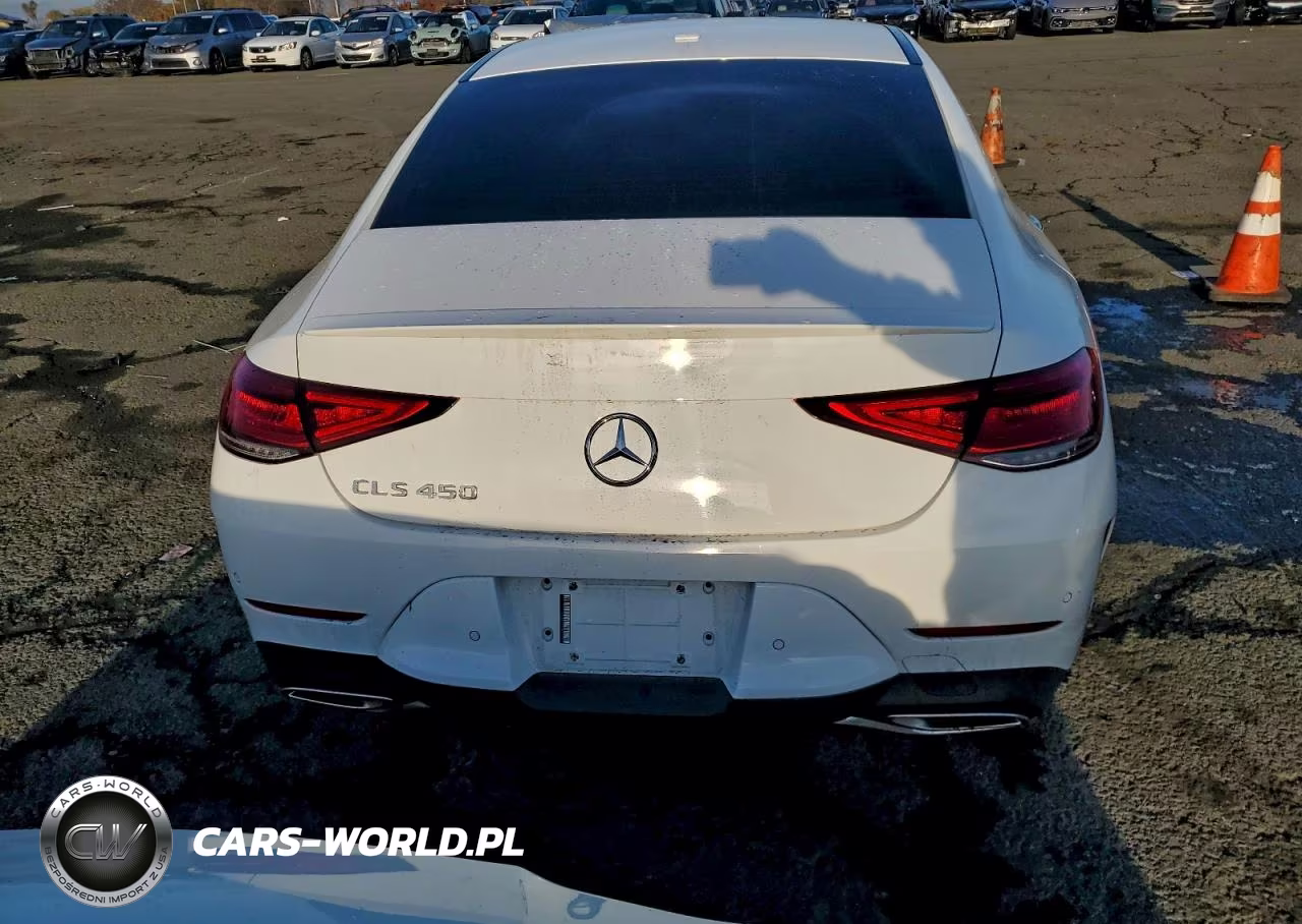 2020 Mercedes-Benz Cls 450 VIN:WDD2J5JBXLA048502 - 6