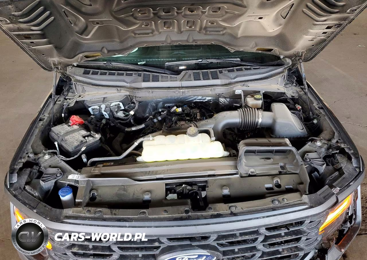 2024 Ford F150 Xl VIN:1FTEW1KP5RKE76377 - 11