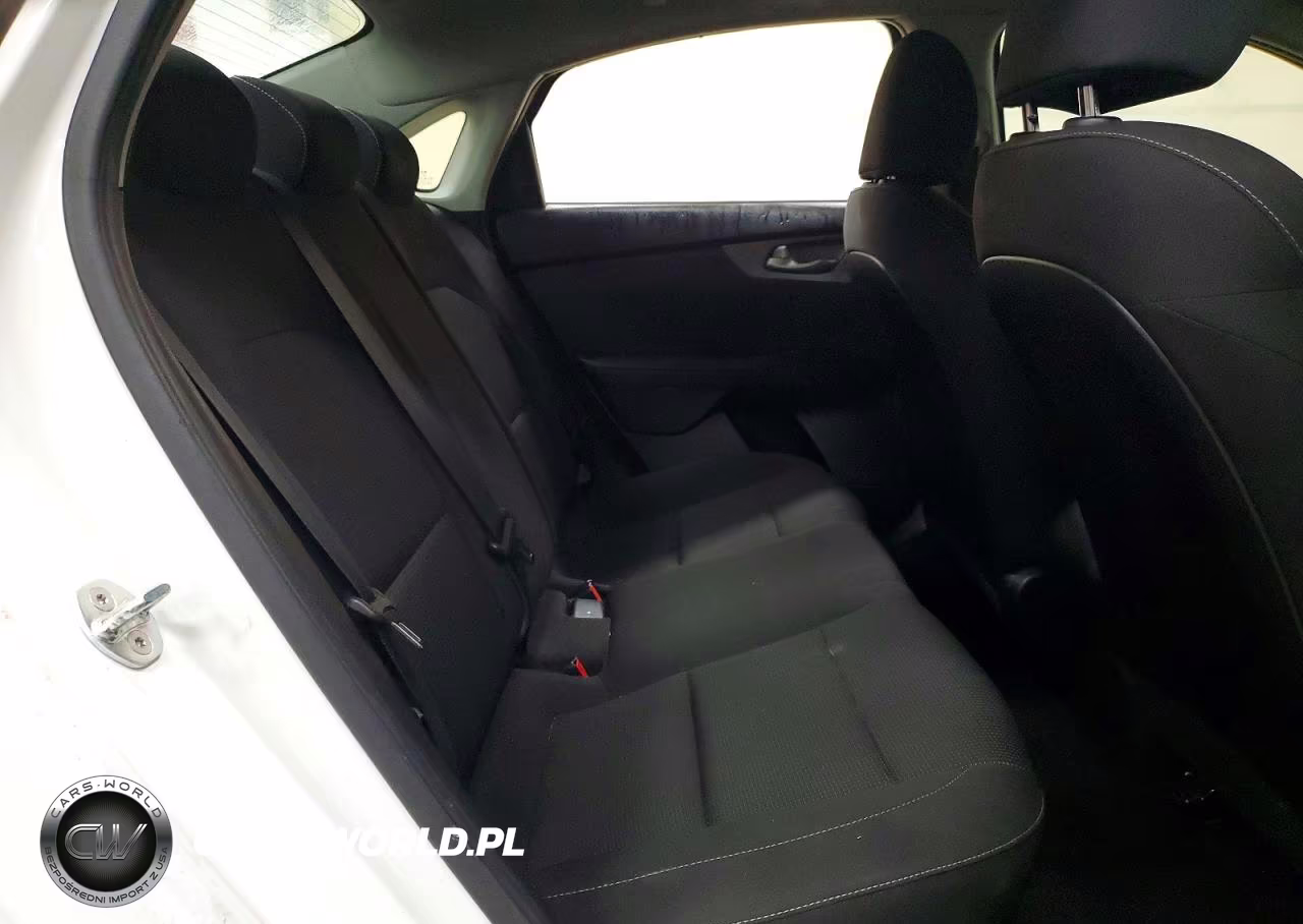 2019 Kia Forte Fe VIN:3KPF24AD7KE075740 - 10