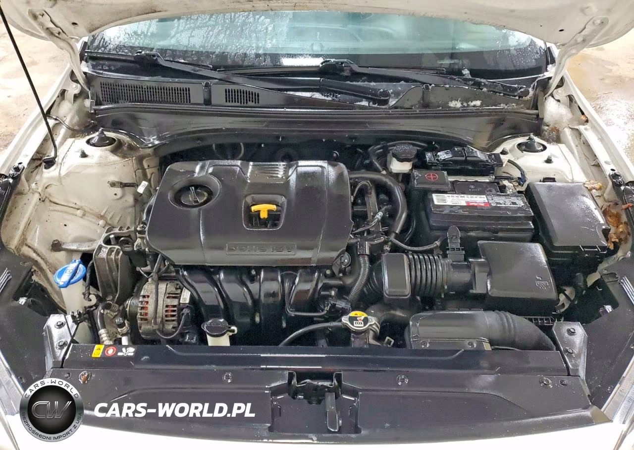 2019 Kia Forte Fe VIN:3KPF24AD7KE075740 - 11