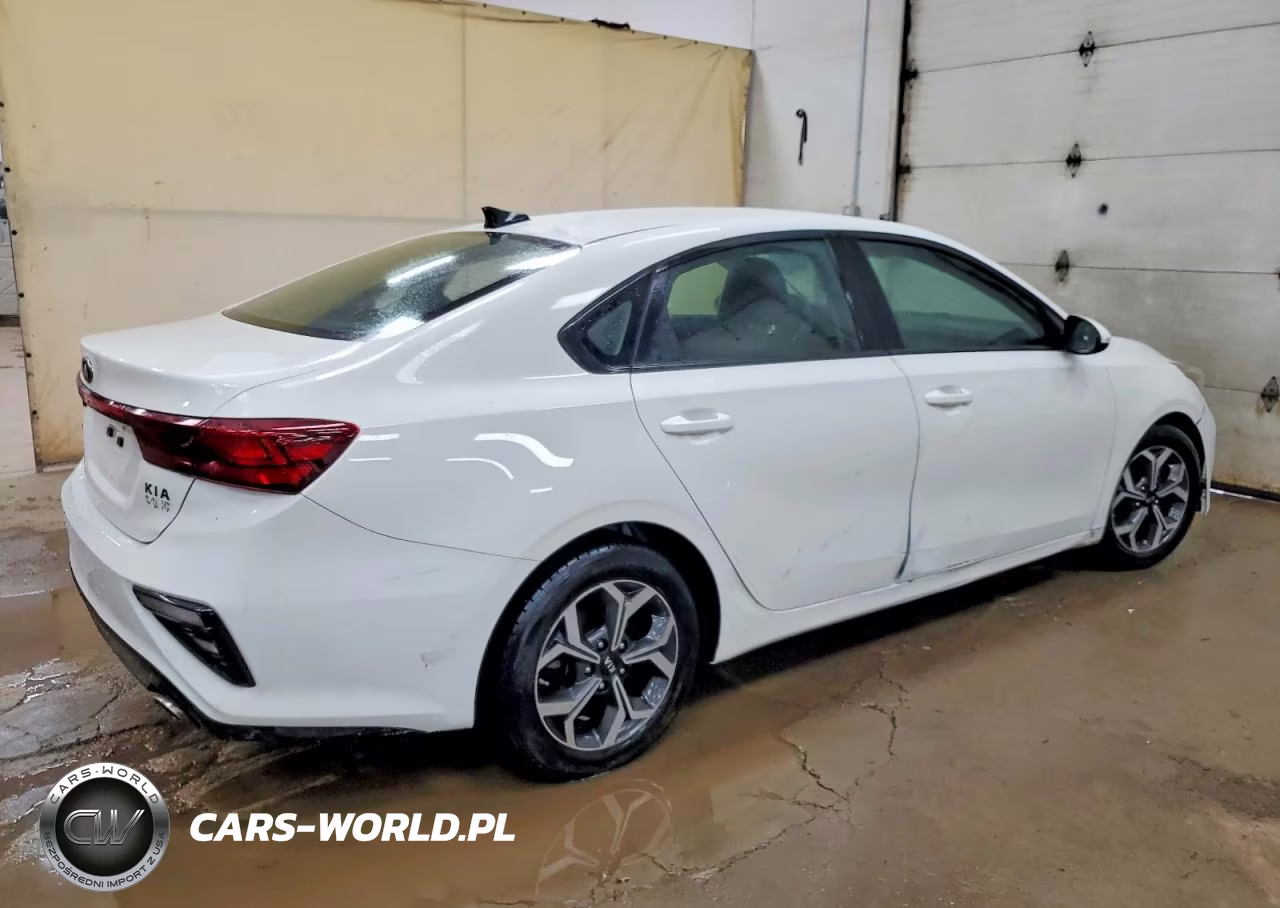 2019 Kia Forte Fe VIN:3KPF24AD7KE075740 - 3
