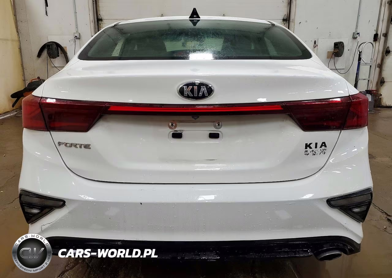 2019 Kia Forte Fe VIN:3KPF24AD7KE075740 - 6
