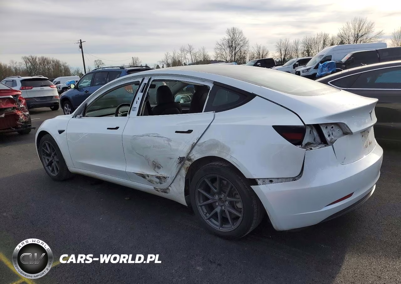2023 Tesla Model 3 VIN:5YJ3E1EA1PF455988 - 2