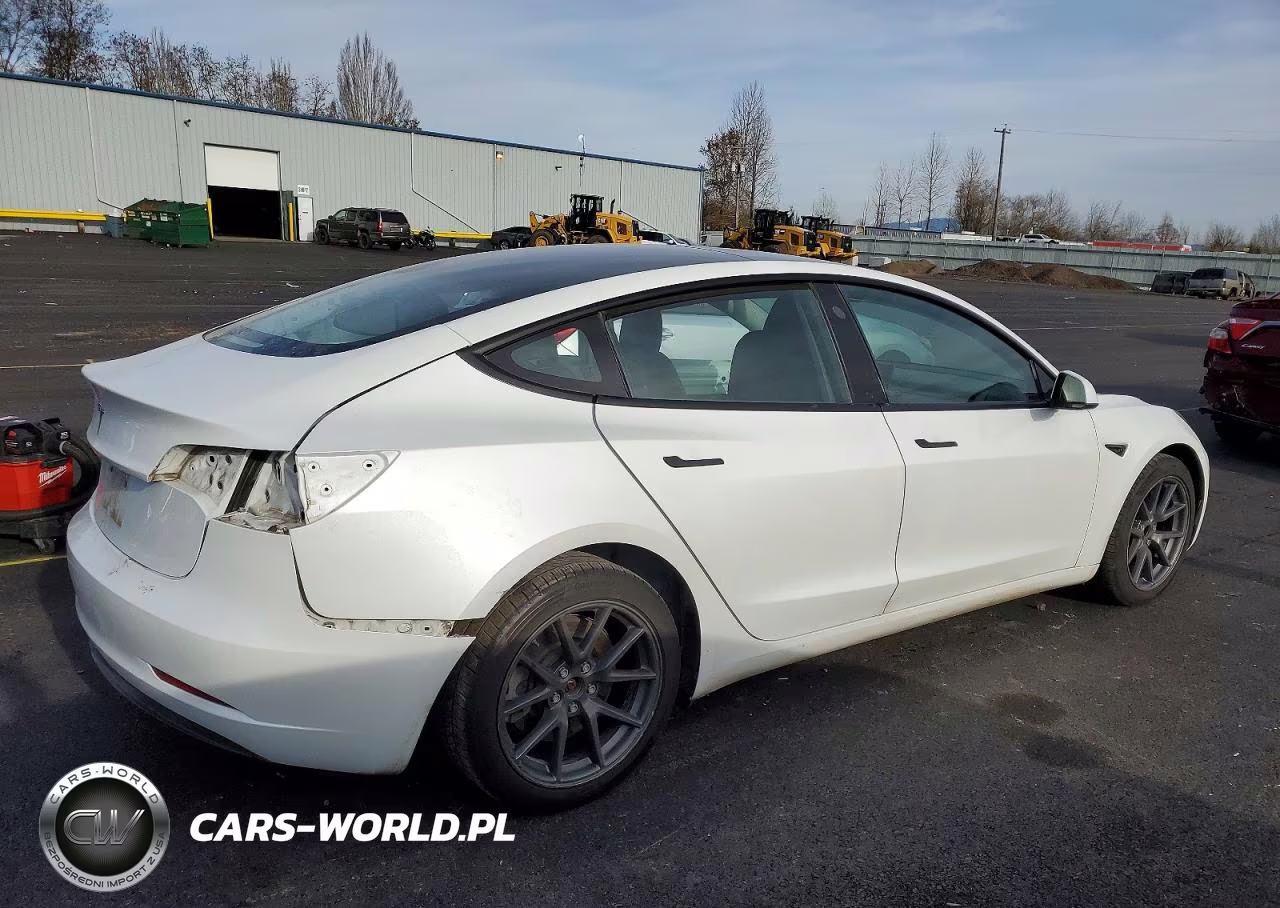 2023 Tesla Model 3 VIN:5YJ3E1EA1PF455988 - 3