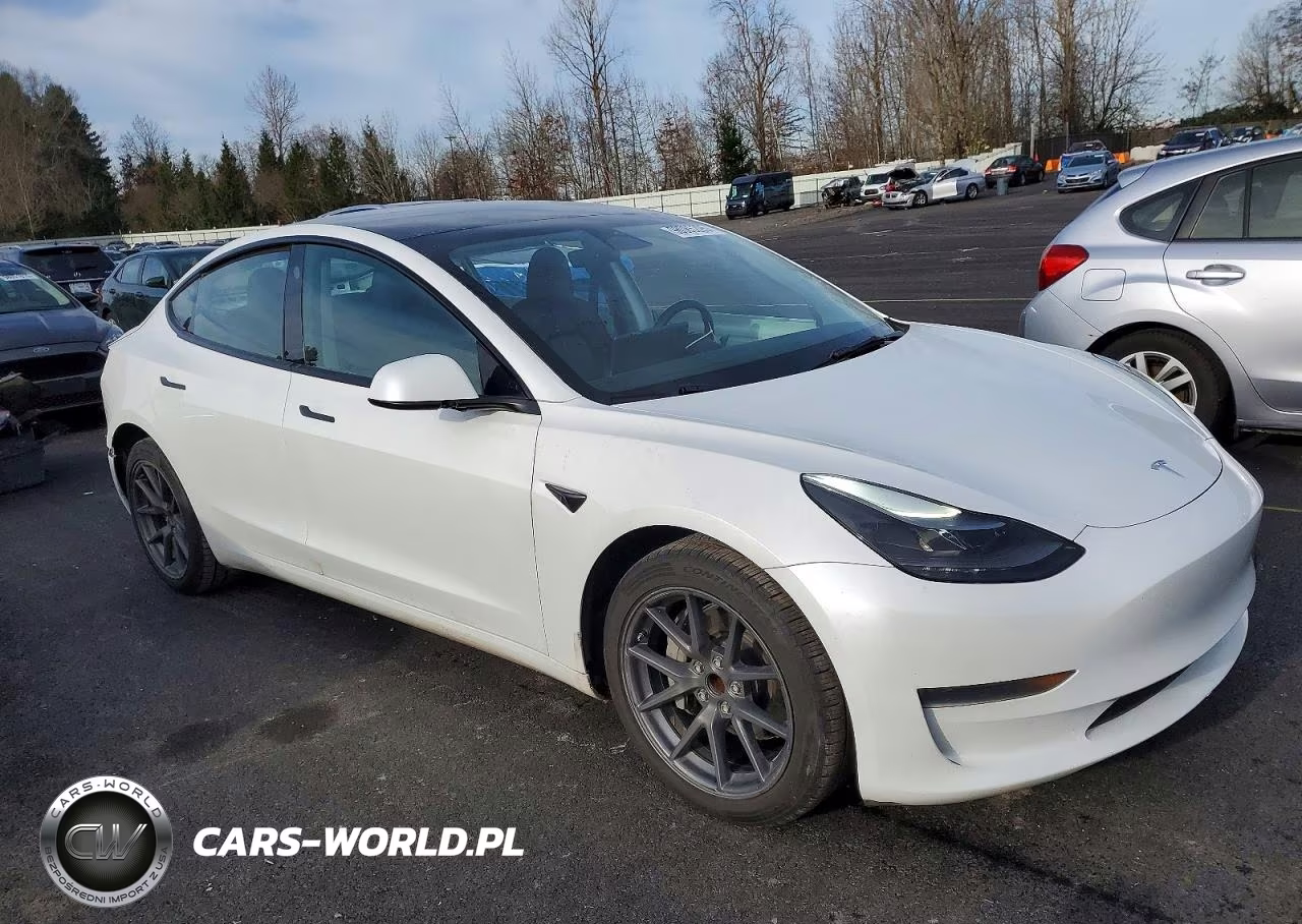 2023 Tesla Model 3 VIN:5YJ3E1EA1PF455988 - 4