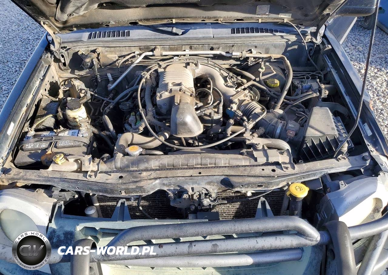 2003 Nissan Xterra Se VIN:5N1MD28Y33C655165 - 12