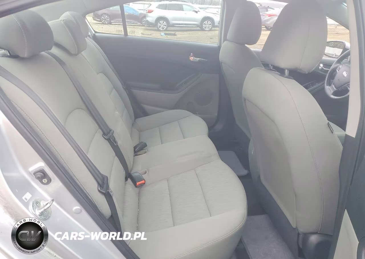 2015 Kia Forte Lx VIN:KNAFK4A64F5348178 - 10