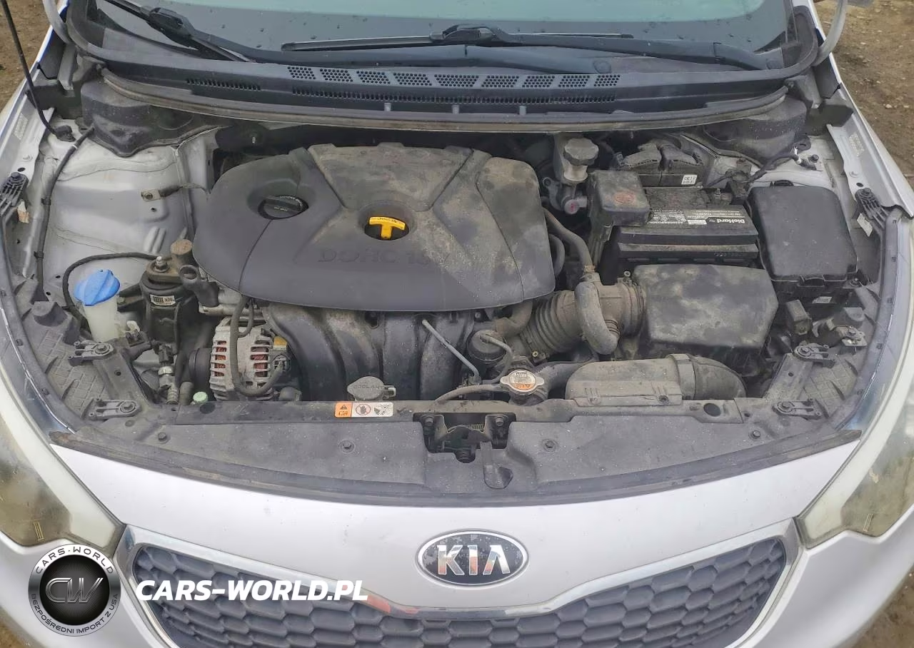 2015 Kia Forte Lx VIN:KNAFK4A64F5348178 - 11
