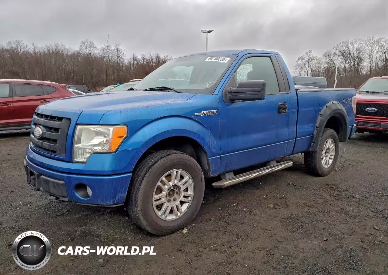 2009 Ford F150