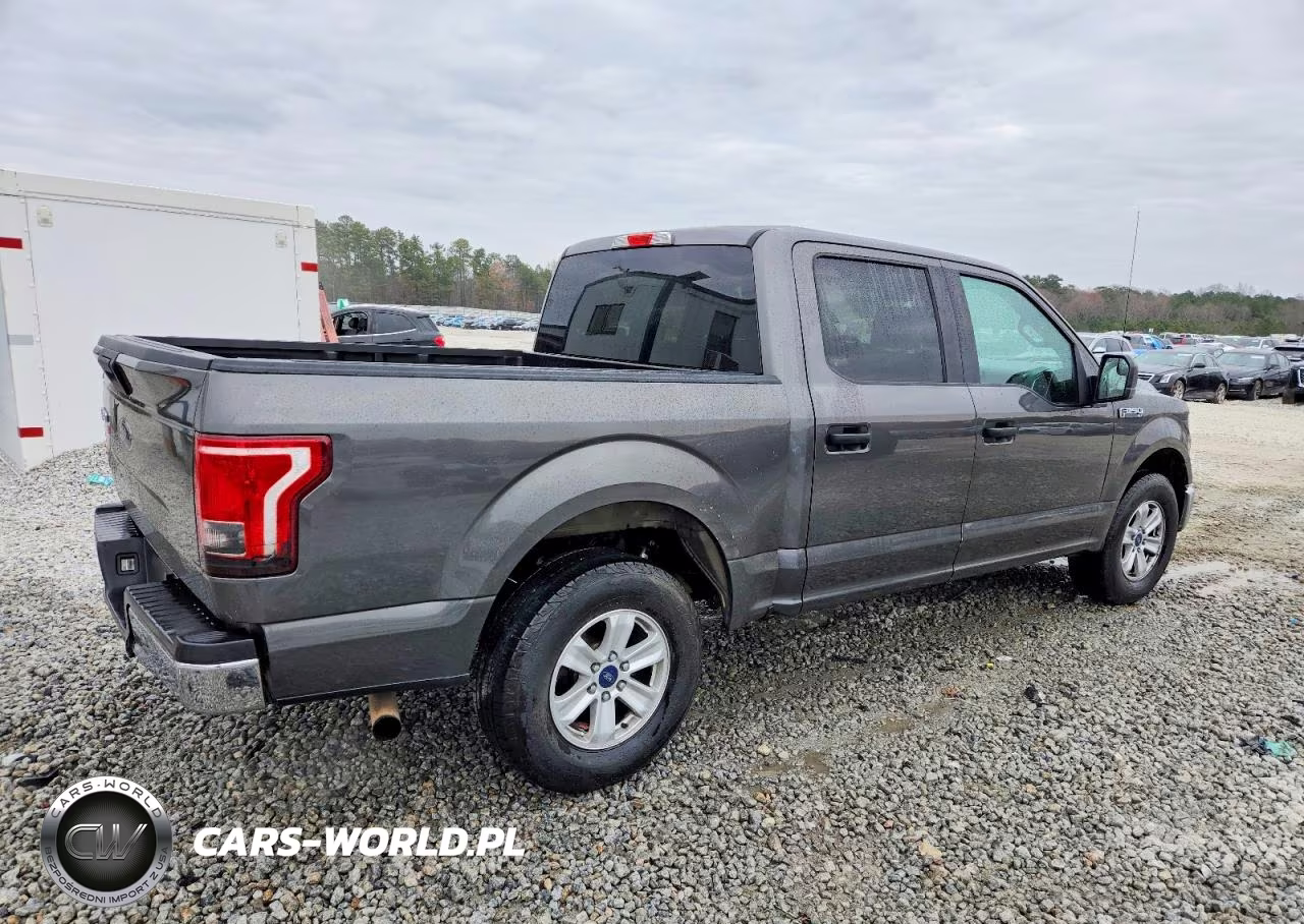2015 Ford F150 Supercrew VIN:1FTEW1CP9FKD83484 - 3