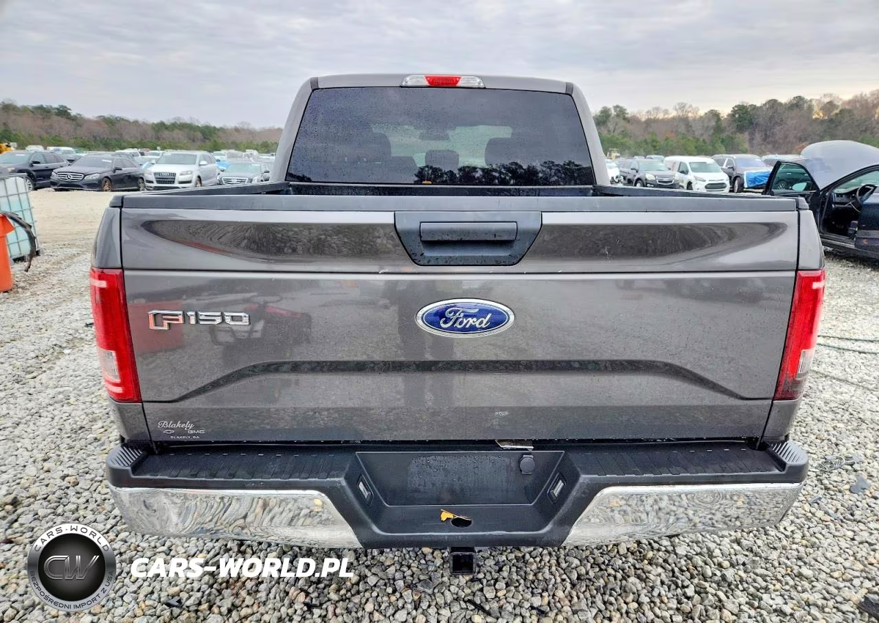 2015 Ford F150 Supercrew VIN:1FTEW1CP9FKD83484 - 6