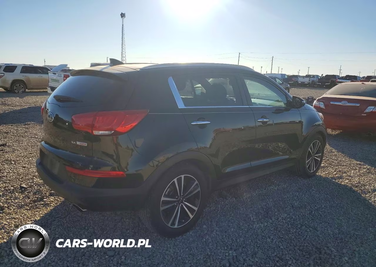 2016 Kia Sportage Ex VIN:KNDPC3A65G7849911 - 3