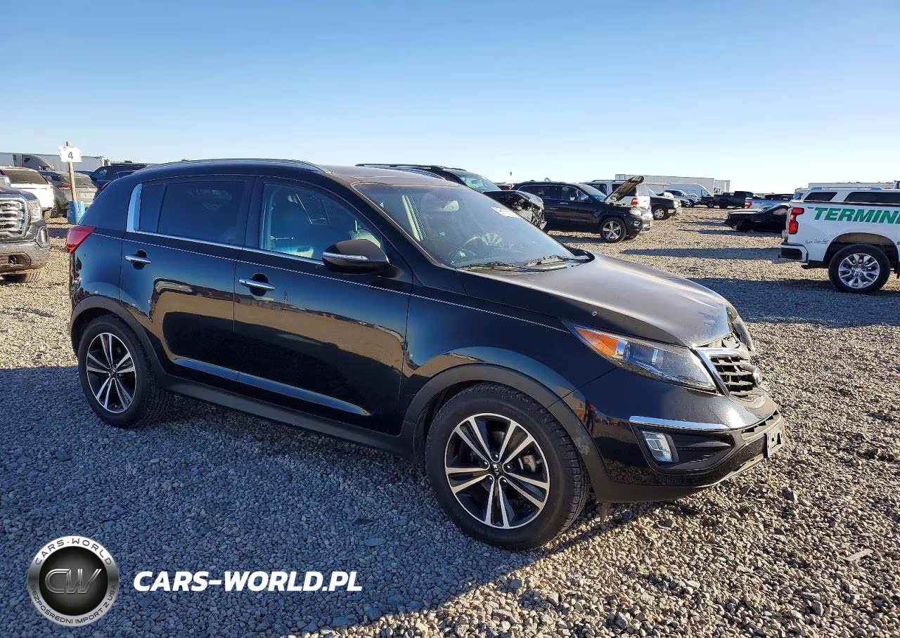 2016 Kia Sportage Ex VIN:KNDPC3A65G7849911 - 4