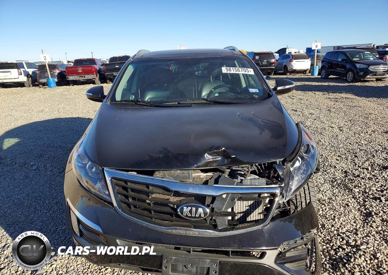 2016 Kia Sportage Ex VIN:KNDPC3A65G7849911 - 5
